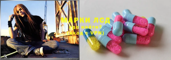 стафф Аркадак