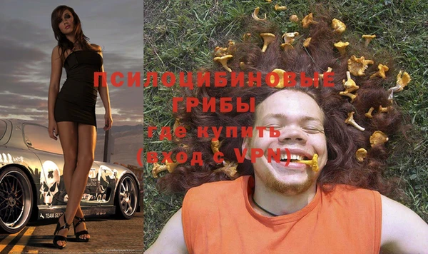 твердый Алзамай