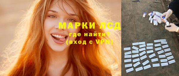стафф Аркадак