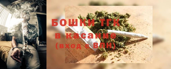 стафф Аркадак