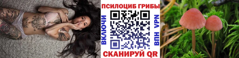 Галлюциногенные грибы Psilocybine cubensis  Динская 